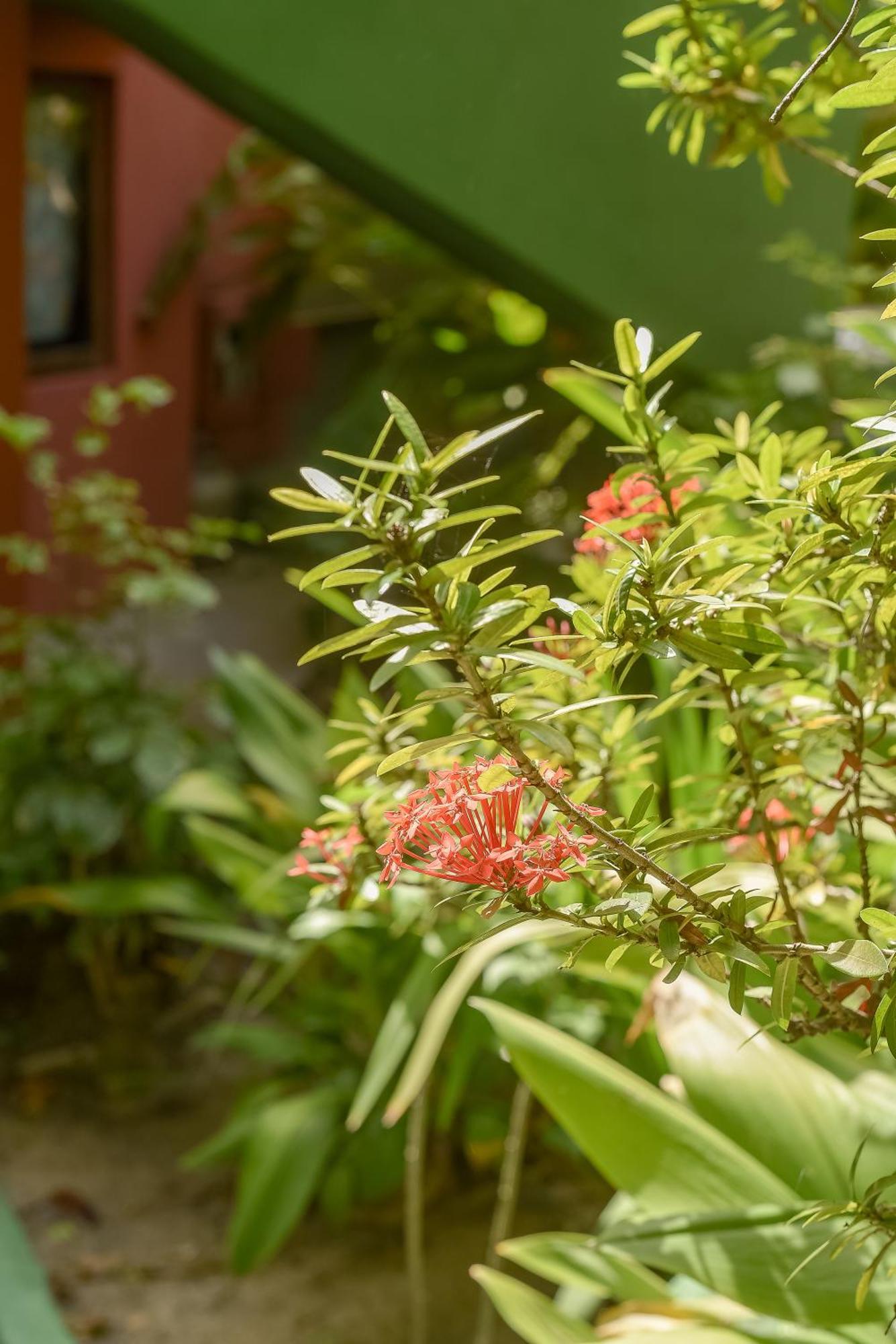 Sonhos De Praia, Facil Acesso A Praia, Rua Mucuge E Beco Cores Guest house 2*